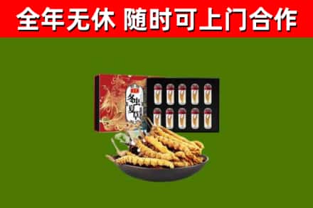 澄城回收冬虫夏草价格