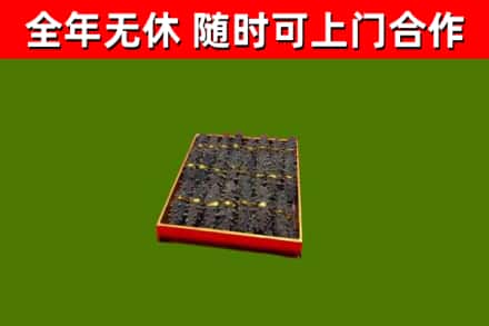 澄城回收海参